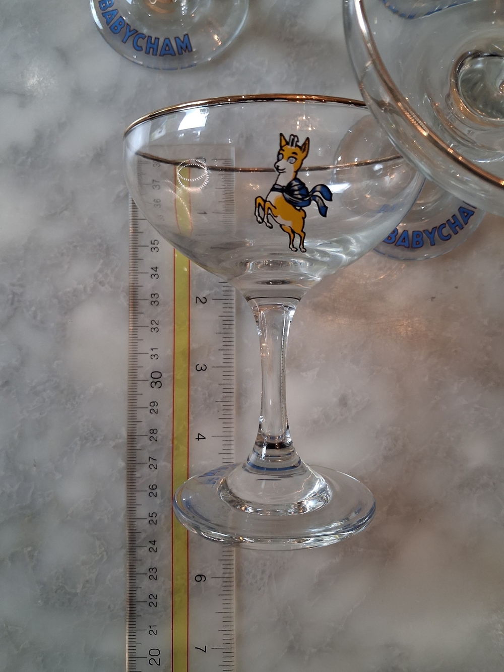 Baby Cham Vintage Cocktail Coupe Glasses - Set of 6